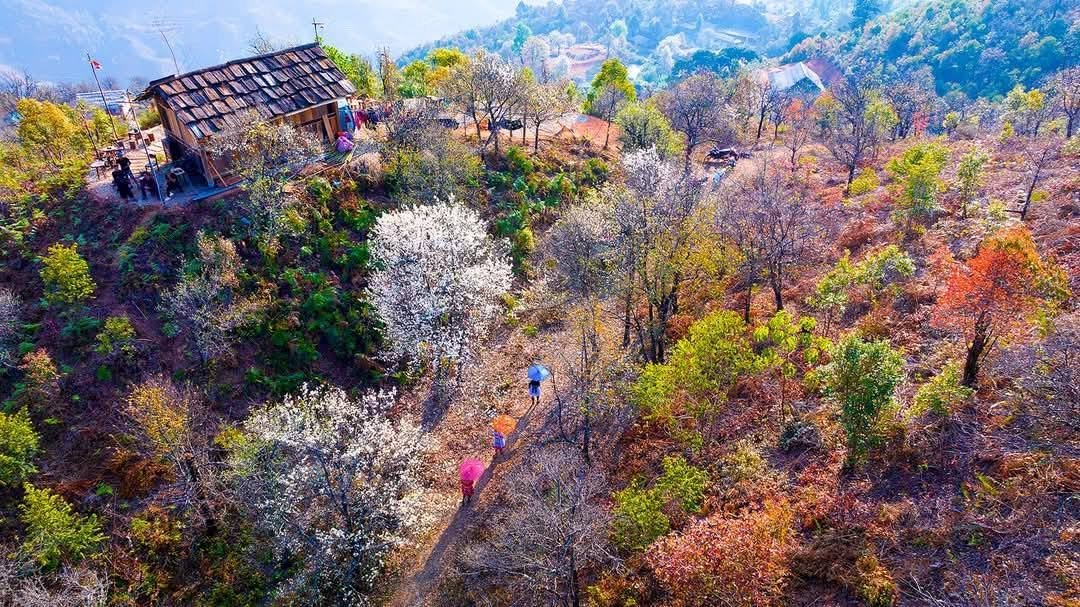 4-Day Cycling Tour: Hanoi to Ngoc Chien & Nam Nghep